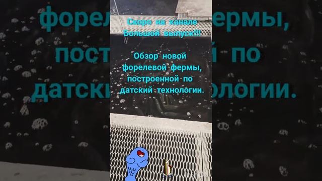 6 марта 2022 г. смотреть онлайн
