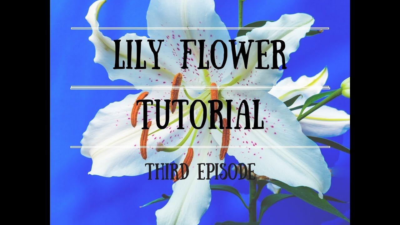 Лилия витраль ч 3 смотреть онлайн