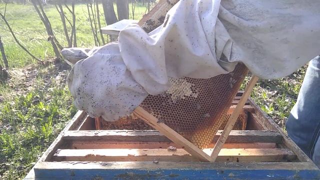 Первое расширение гнезда. Как не упустить главное. смотреть онлайн