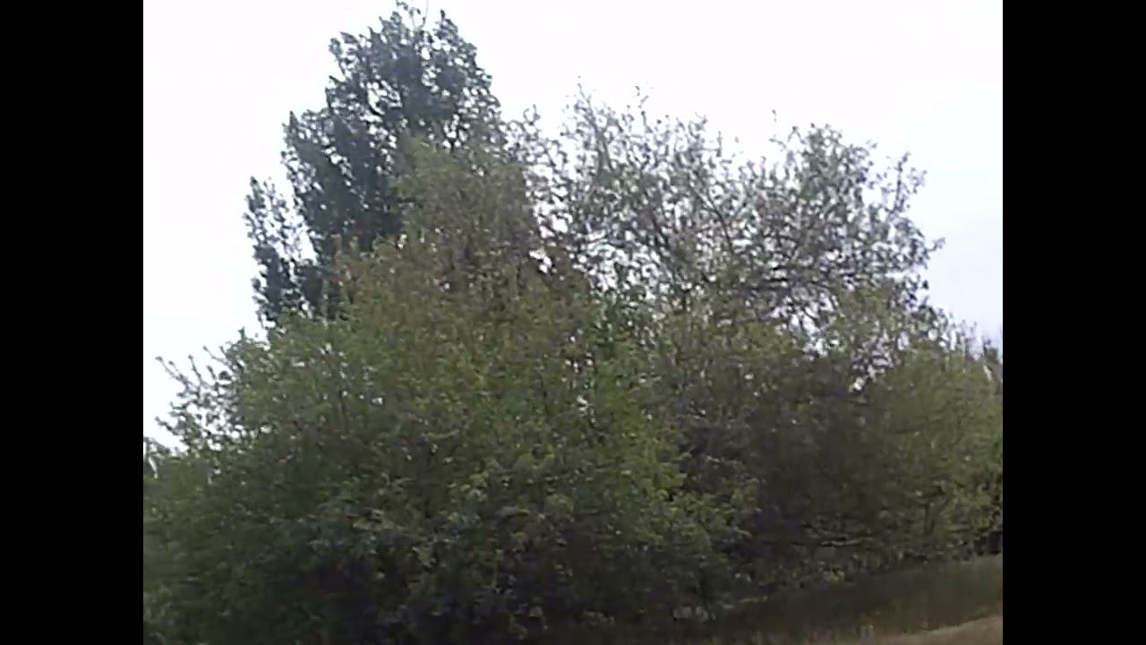 Ежегодная традиция в канун праздника Великой Победы нагадить Наследникам Победы! Кто же эти люди? смотреть онлайн