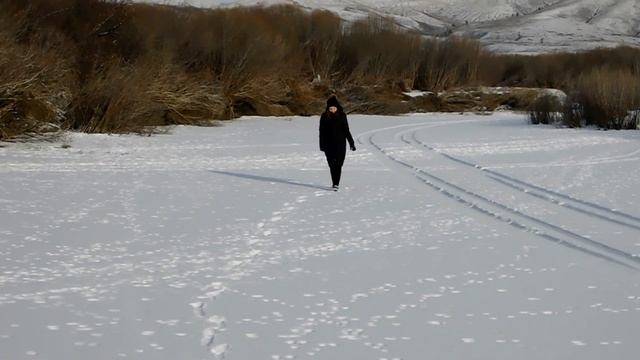 Река Ага с множеством следов животных. Забайкалье 2019. смотреть онлайн