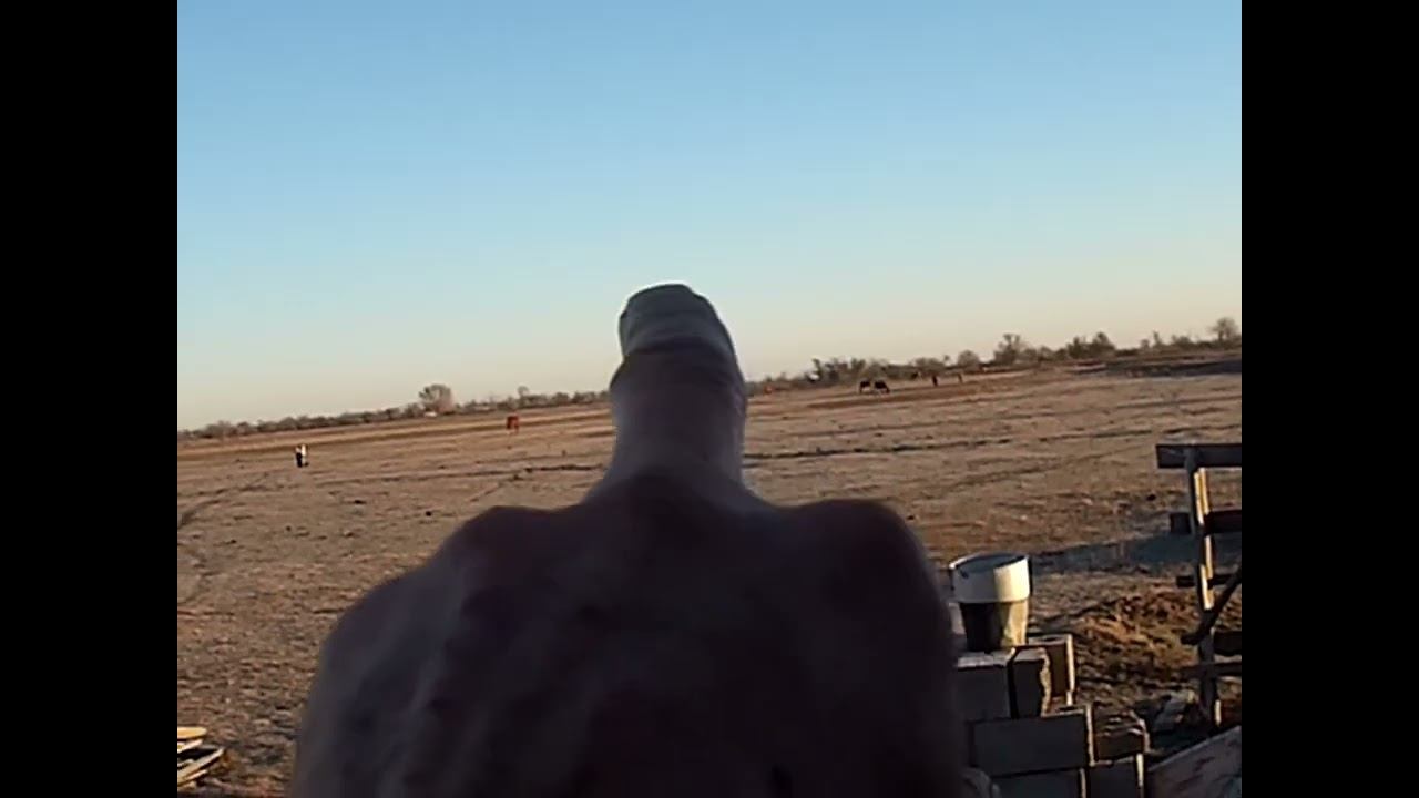 28.02.2024 ЧТО ДЕЛАТЬ? : ЛПХ В ОПАСНОСТИ смотреть онлайн