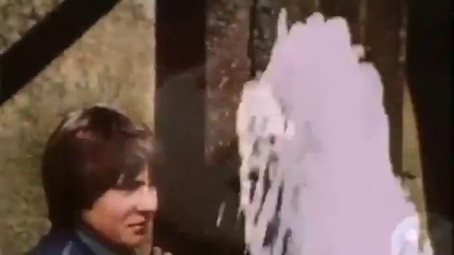 The Monkees - Shades of Gray - Davy Jones tribute смотреть онлайн