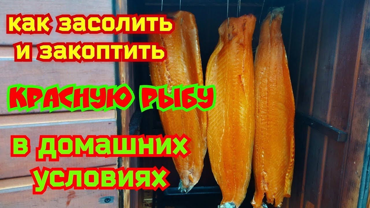 Жизнь в Кайф