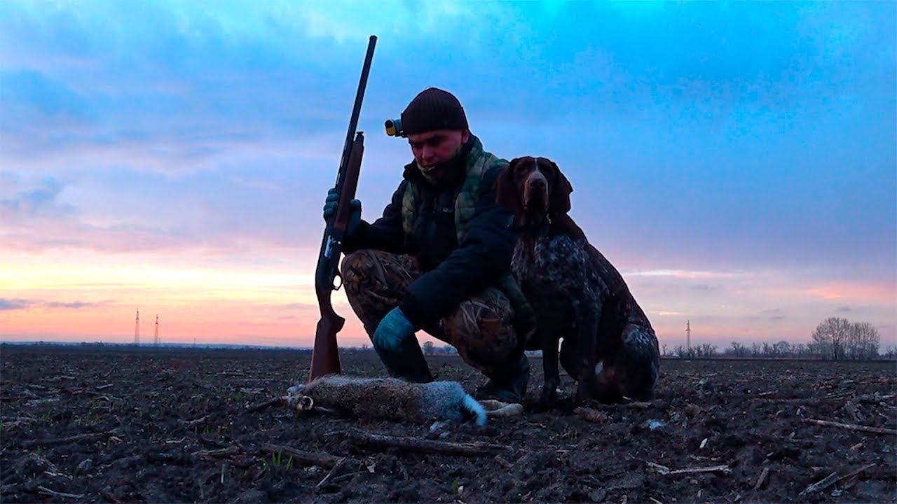 РЫБАК СДАЛ ЗАЙЦА И ХАЛЯВНАЯ УТКА !!! смотреть онлайн