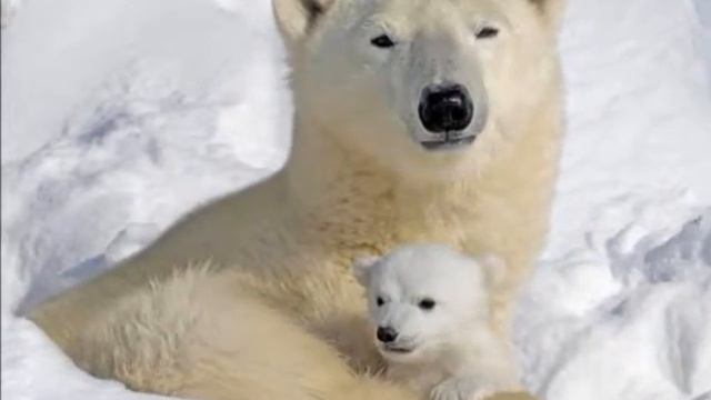 Геометрия вокруг нас