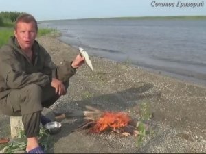 Как закоптить рыбу без коптилки