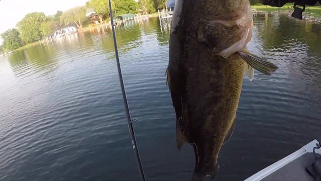 4 Pound Bass Literally EATS Small Bass! + Crazy Dog Fish Caught! смотреть онлайн