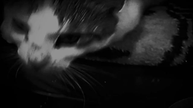 Waves Of Memory (DISORDER)