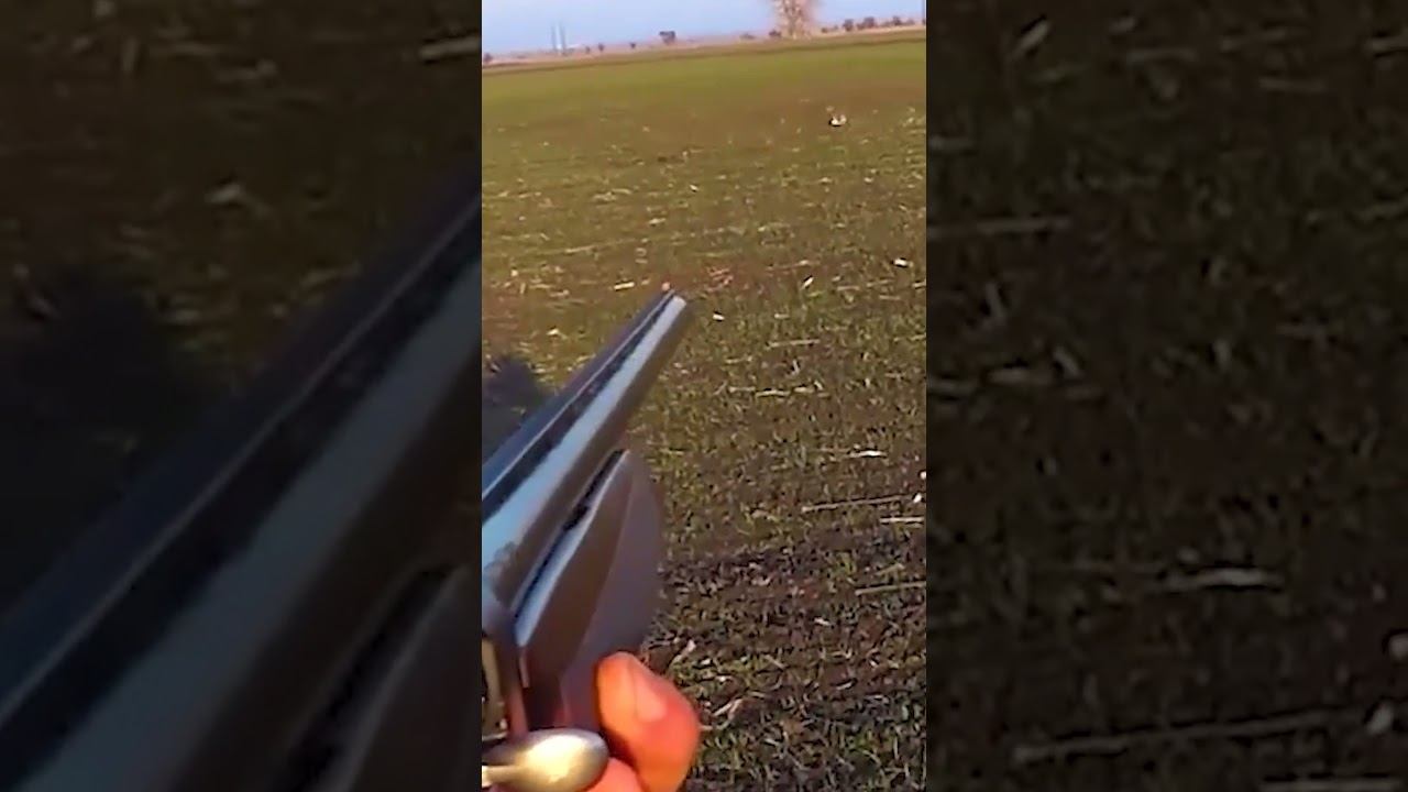 ОХОТА НА ЗАЙЦА !!! ДАЛЬНИЙ ЗАЯЦ смотреть онлайн