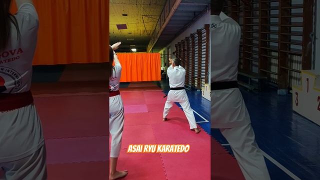Junro Nidan. Развиваем Ката. #asairyu #каратэ #karate смотреть онлайн