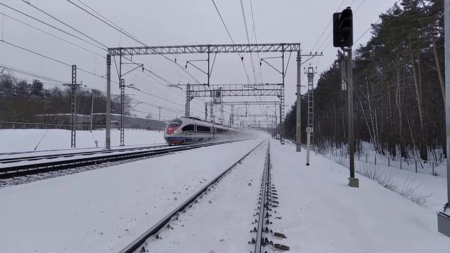 "Приветливый скорый Сапсан" ЭВС1-012 смотреть онлайн