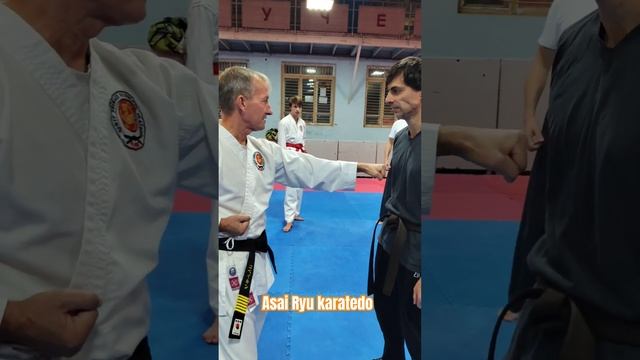 Удар цуки на разных дистанциях. Ротация кулака. #karate #каратэ #asairyu смотреть онлайн