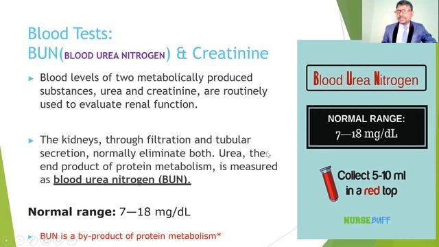 BLOOD DIAGNOSTIC TESTS & NORMAL VALUES/ LIVER FUNCTION/CBC/ CARDIAC BLOOD TETS/ LIPID PROFILE смотреть онлайн