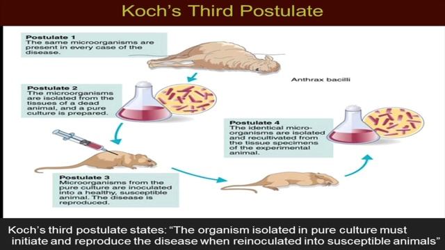 Tobin Medicine Art or science?