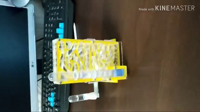 МОЯ первая муравьиная ферма смотреть онлайн