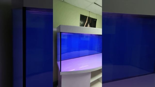 аквариум 750 свет биофильтр фон подставка смотреть онлайн