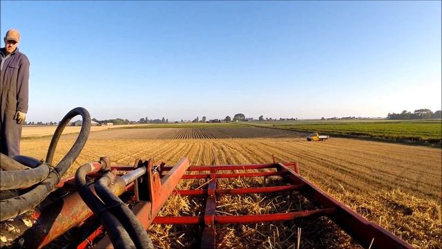Volvo BM 350 loading small square straw bales (GoPro Hero3+) смотреть онлайн