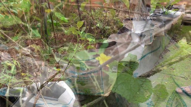 A Day In My Life With My Parents