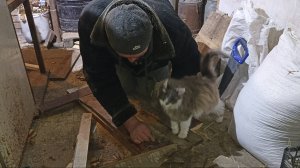 Делаем деревянные ЩИТЫ в клетки для НУТРИЙ. 14.12.24