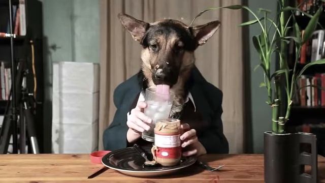 Ммм, как вкусно смотреть онлайн