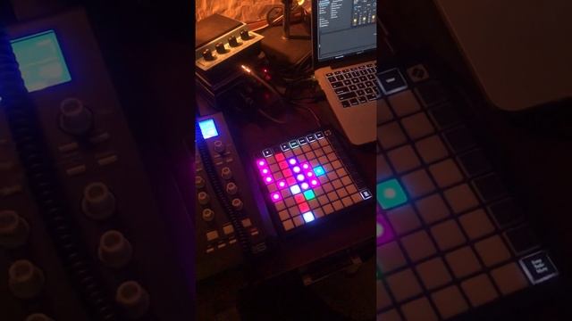 Novation Launchpad Mini Mk3 Demo смотреть онлайн