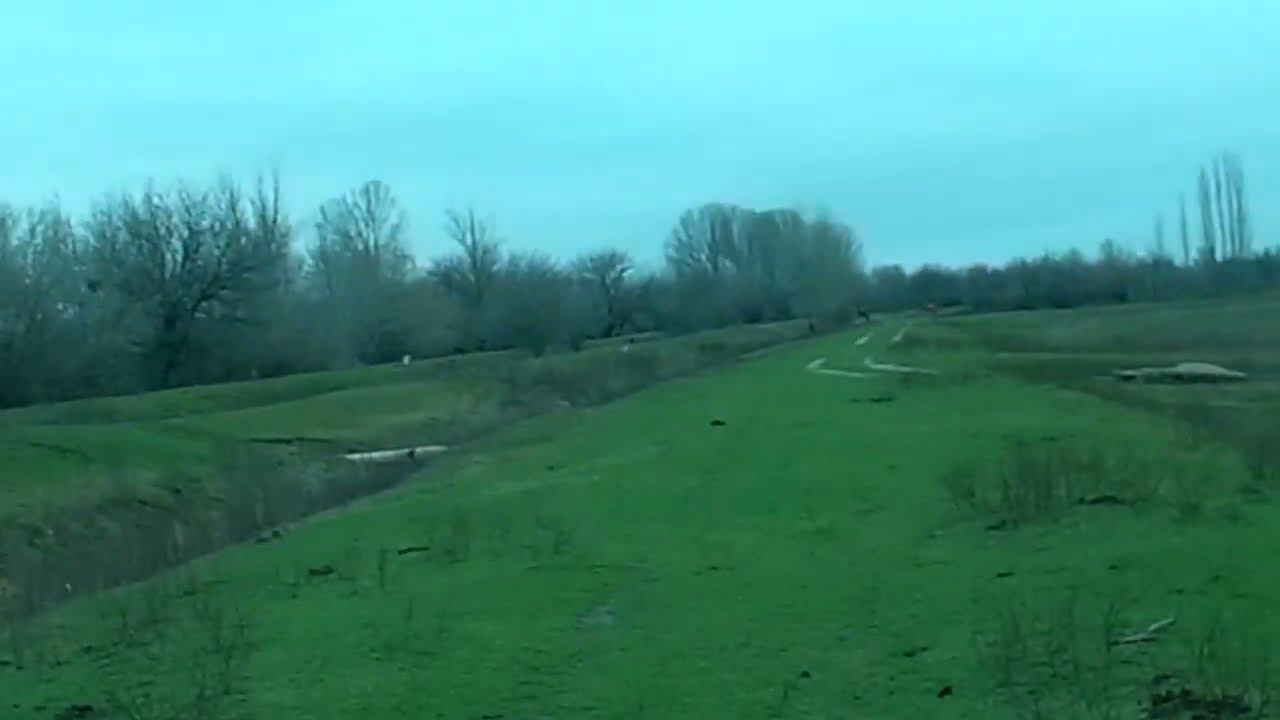 05.12.2023 ЧТО ДЕЛАТЬ? : ЛПХ В ОПАСНОСТИ смотреть онлайн