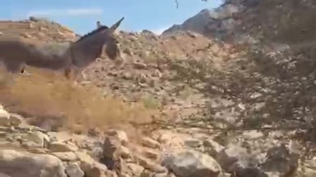 Сказочный город Хатта. Дубай. ОАЭ. смотреть онлайн