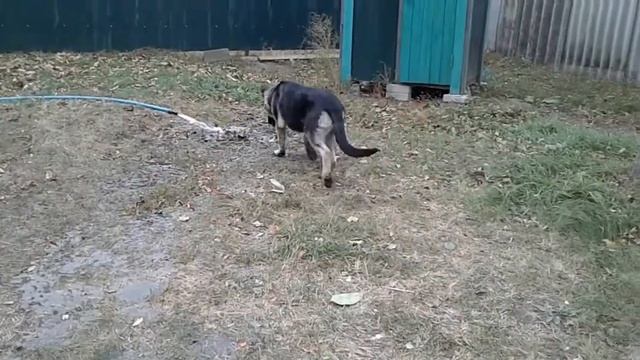 Чак смотреть онлайн