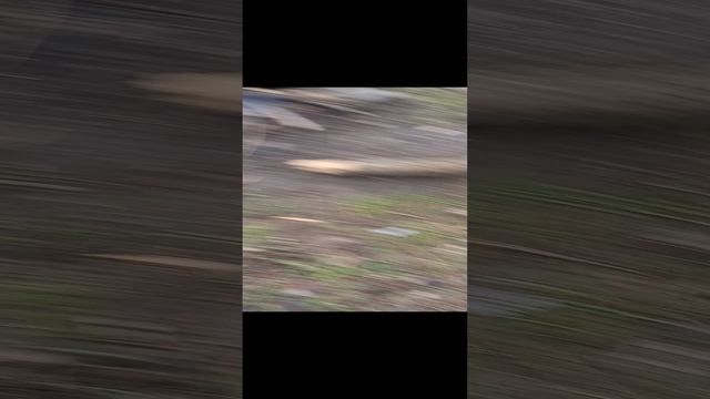 экстремальный костёр 1.mp4 смотреть онлайн