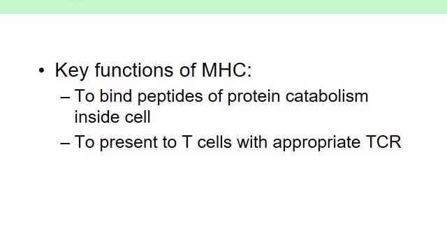 Role of the MHC смотреть онлайн