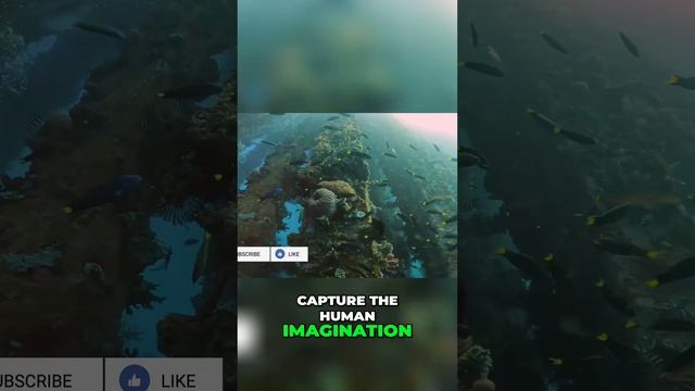 Mythological Creatures from Around the World: Unveiling the Mysteries of the Ancient Kraken смотреть онлайн