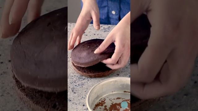 Decadent Mocha Chocolate Mousse Cake! #shorts #moussecake #birthdaycake #vegancake смотреть онлайн
