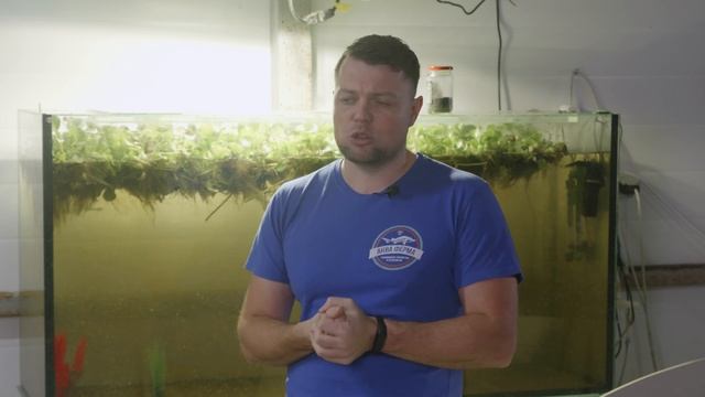 Серебристый окунь - обзор нового объекта Аквакультуры смотреть онлайн