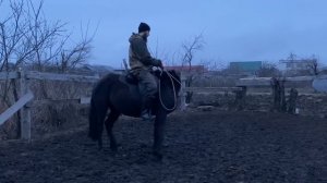 Заездка дикой лошади. финал / кабардинская порода лошадей  / M-H