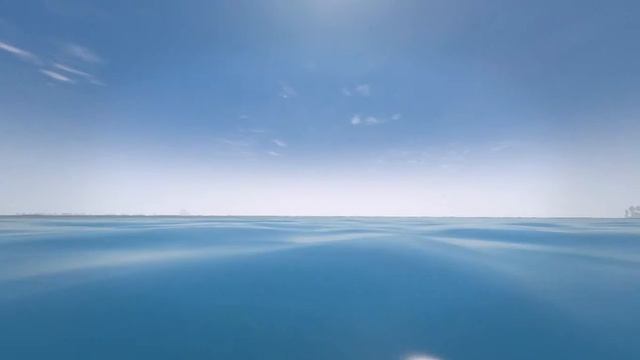 Охота на акулу смотреть онлайн