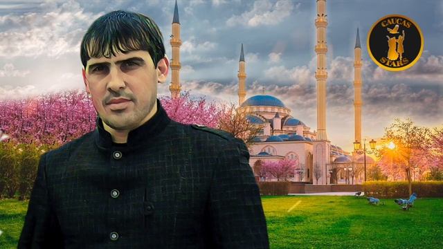 Магомед Домбаев  - Виц велла теша со