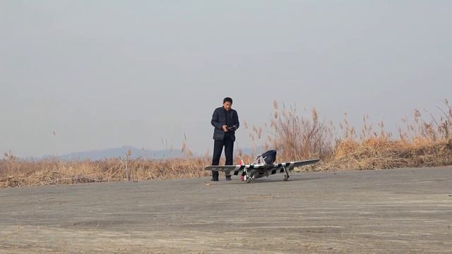 Ziroli P-51 Mustang maiden смотреть онлайн