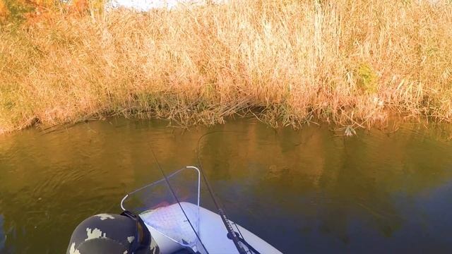 Лодочные приключения: начало