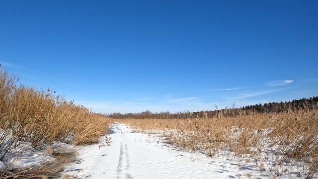 Едем на фэтбайке внутри заброшенного Рыбхоза2.0.Дорога в неизведанное.Что нас ждет? смотреть онлайн