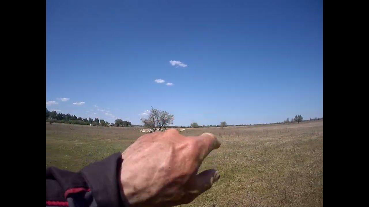 02.05.2024 ЧТО ДЕЛАТЬ? : ЛПХ В ОПАСНОСТИ смотреть онлайн