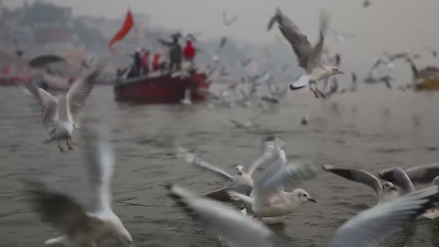 Пункт назначения: Дели, Варанаси, Керала