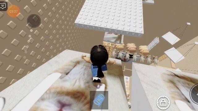 Roblox, башня el gato