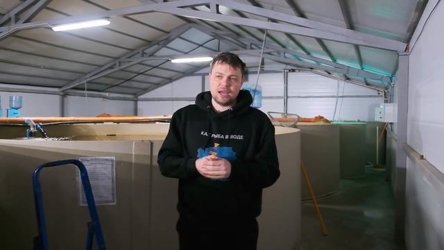 Филешка выпуск 7 | Весна пришла смотреть онлайн