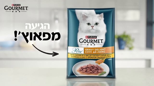 מזון סופר פרימיום של גורמה באריזות פאוץ' смотреть онлайн