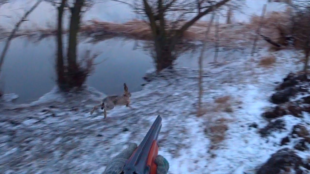 ДВА НЕАДЕКВАТНЫХ ЗАЙЦА И УТКА !!! смотреть онлайн