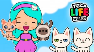 ТОКА БОКА СЕРИАЛ СПАСТИ КОТА