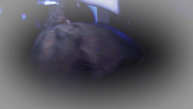 FELIPE SOUZA - CLIPE OFICIAL IO IO IA IA