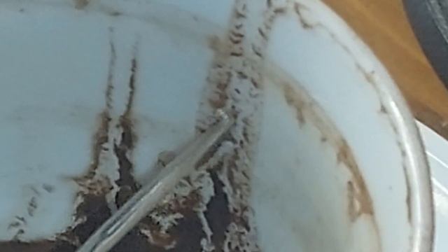 Гадание на кофейной гуще - Будущее наших отношений. Я и он...... смотреть онлайн