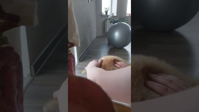 Фаро улыбается он улыбастик смотреть онлайн
